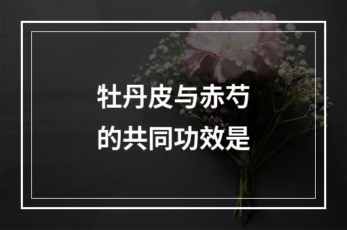 牡丹皮与赤芍的共同功效是