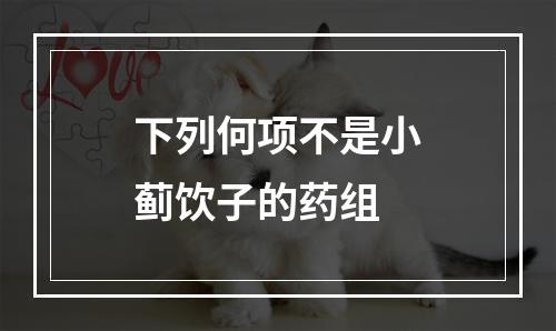 下列何项不是小蓟饮子的药组