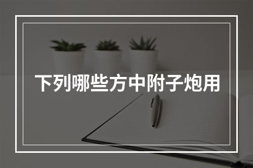 下列哪些方中附子炮用