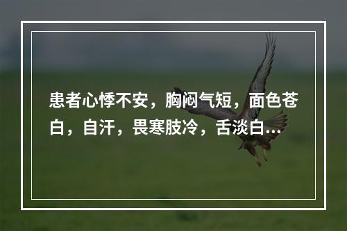 患者心悸不安，胸闷气短，面色苍白，自汗，畏寒肢冷，舌淡白，脉