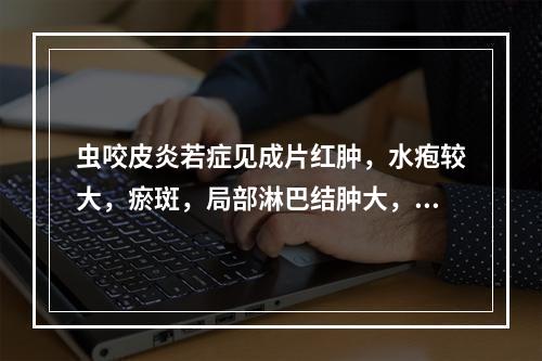 虫咬皮炎若症见成片红肿，水疱较大，瘀斑，局部淋巴结肿大，伴畏