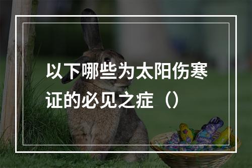 以下哪些为太阳伤寒证的必见之症（）