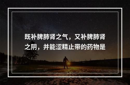 既补脾肺肾之气，又补脾肺肾之阴，并能涩精止带的药物是