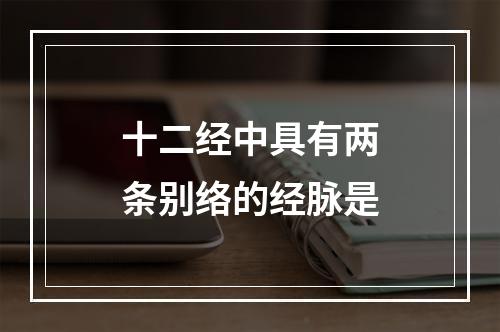 十二经中具有两条别络的经脉是