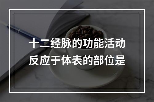 十二经脉的功能活动反应于体表的部位是