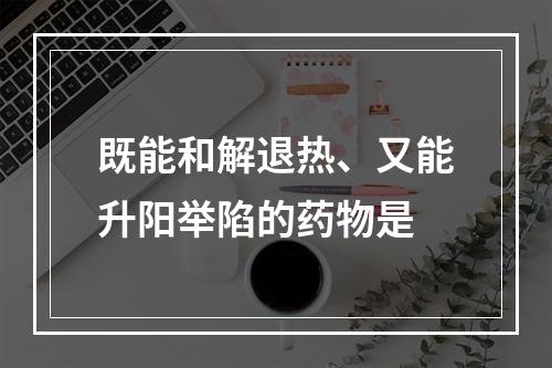 既能和解退热、又能升阳举陷的药物是