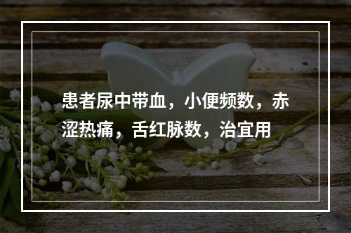 患者尿中带血，小便频数，赤涩热痛，舌红脉数，治宜用