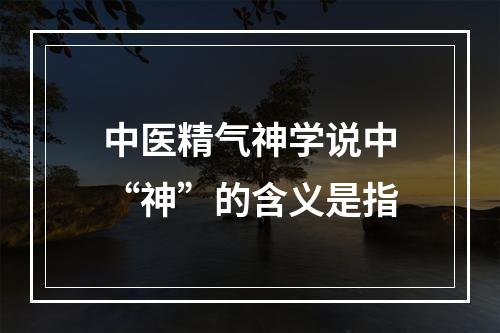 中医精气神学说中“神”的含义是指