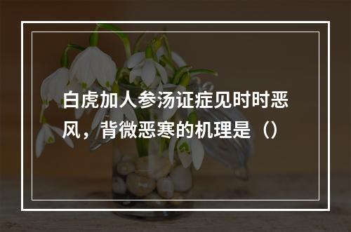 白虎加人参汤证症见时时恶风，背微恶寒的机理是（）