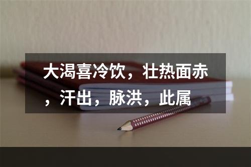 大渴喜冷饮，壮热面赤，汗出，脉洪，此属