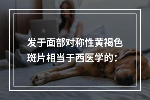 发于面部对称性黄褐色斑片相当于西医学的：