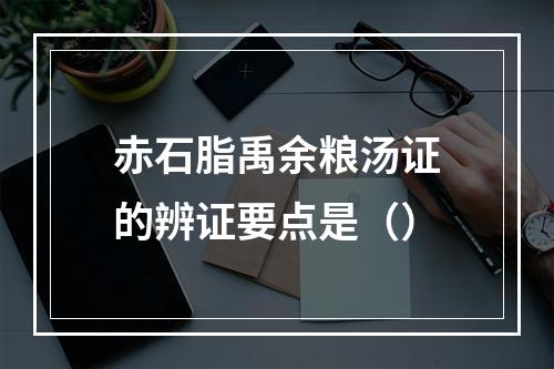 赤石脂禹余粮汤证的辨证要点是（）