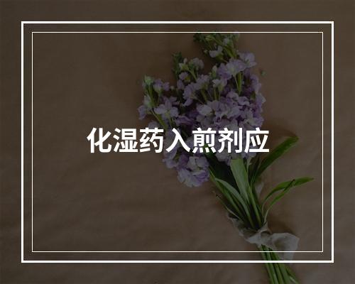 化湿药入煎剂应