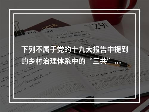 下列不属于党的十九大报告中提到的乡村治理体系中的“三共”的是