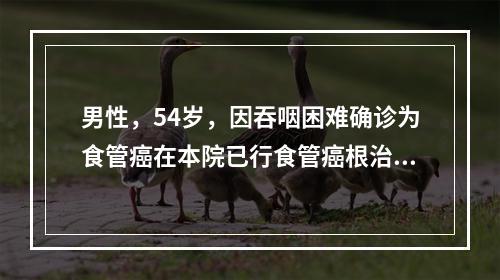 男性，54岁，因吞咽困难确诊为食管癌在本院已行食管癌根治术。