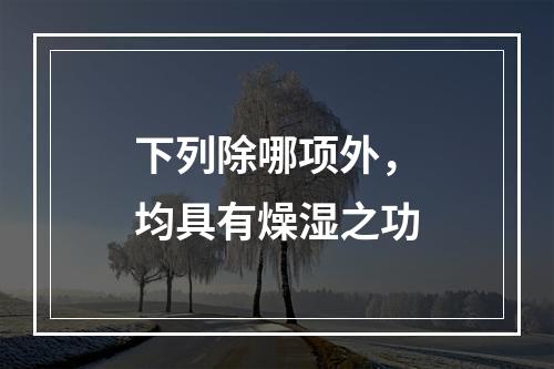 下列除哪项外，均具有燥湿之功