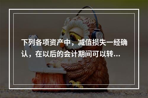 下列各项资产中，减值损失一经确认，在以后的会计期间可以转回的