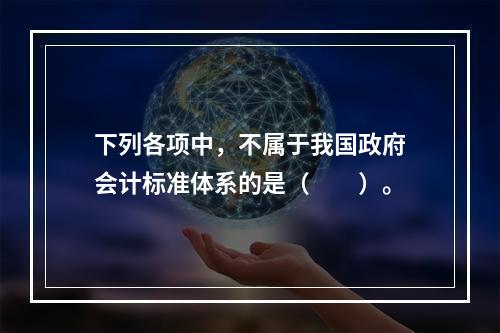 下列各项中，不属于我国政府会计标准体系的是（　　）。