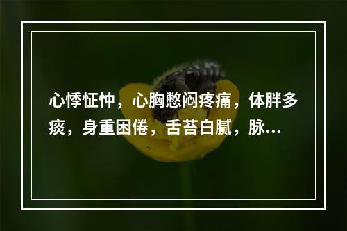 心悸怔忡，心胸憋闷疼痛，体胖多痰，身重困倦，舌苔白腻，脉滑，