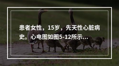 患者女性，15岁，先天性心脏病史。心电图如图5-12所示，应