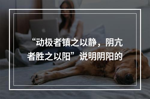 “动极者镇之以静，阴亢者胜之以阳”说明阴阳的