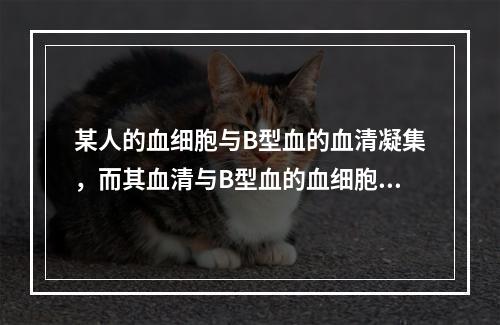 某人的血细胞与B型血的血清凝集，而其血清与B型血的血细胞不凝