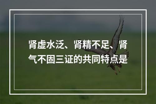 肾虚水泛、肾精不足、肾气不固三证的共同特点是