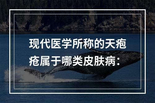 现代医学所称的天疱疮属于哪类皮肤病：