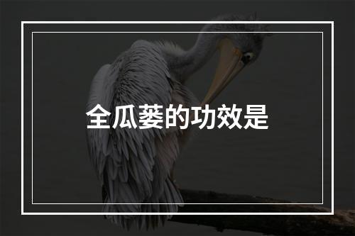 全瓜蒌的功效是