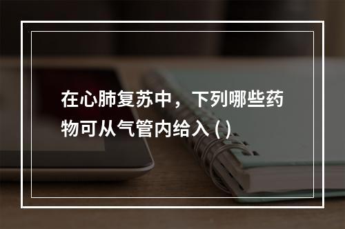 在心肺复苏中，下列哪些药物可从气管内给入 ( )