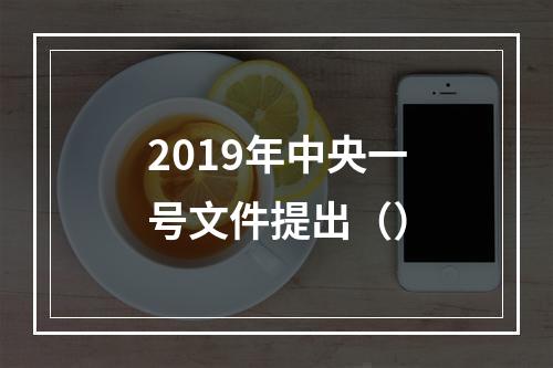 2019年中央一号文件提出（）