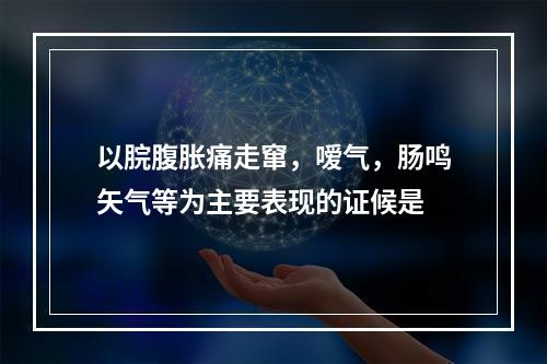 以脘腹胀痛走窜，嗳气，肠鸣矢气等为主要表现的证候是