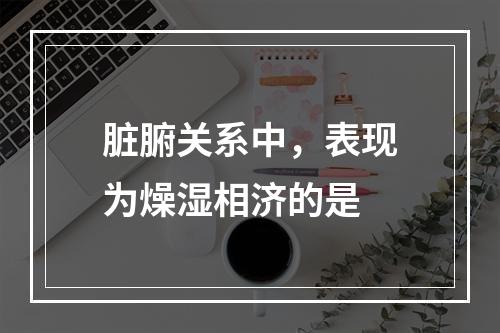 脏腑关系中，表现为燥湿相济的是