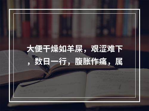 大便干燥如羊屎，艰涩难下，数日一行，腹胀作痛，属