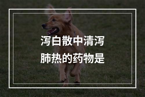 泻白散中清泻肺热的药物是