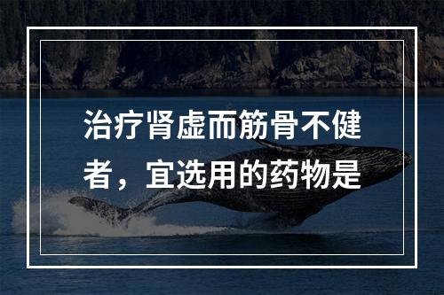 治疗肾虚而筋骨不健者，宜选用的药物是