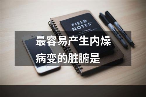 最容易产生内燥病变的脏腑是