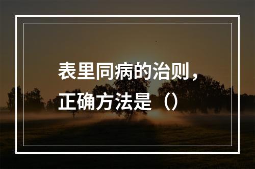 表里同病的治则，正确方法是（）