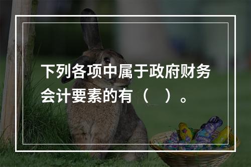 下列各项中属于政府财务会计要素的有（　）。