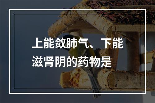 上能敛肺气、下能滋肾阴的药物是