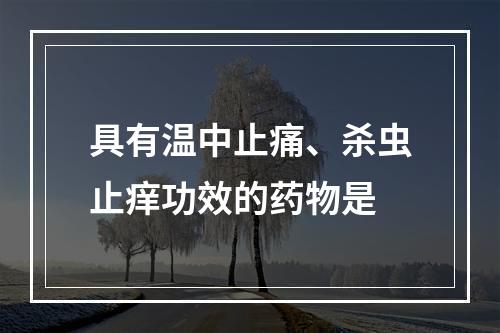 具有温中止痛、杀虫止痒功效的药物是