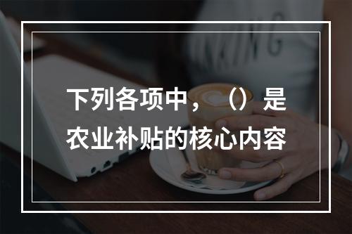 下列各项中，（）是农业补贴的核心内容