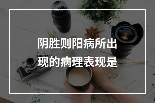 阴胜则阳病所出现的病理表现是