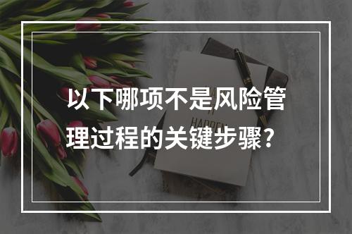 以下哪项不是风险管理过程的关键步骤?