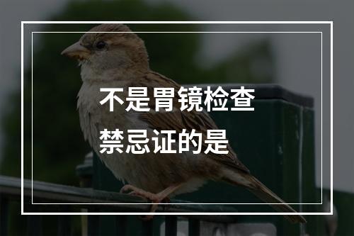 不是胃镜检查禁忌证的是