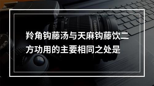 羚角钩藤汤与天麻钩藤饮二方功用的主要相同之处是