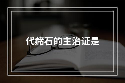 代赭石的主治证是