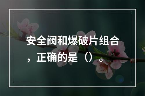 安全阀和爆破片组合，正确的是（）。