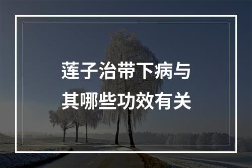 莲子治带下病与其哪些功效有关