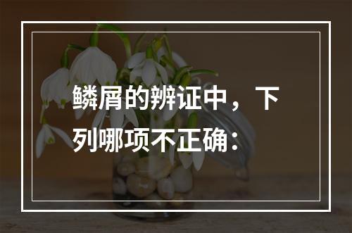 鳞屑的辨证中，下列哪项不正确：